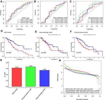 Frontiers Novel Immune Related Ferroptosis Signature In Esophageal